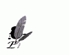 /album/fotogaleria/click42-1-gif/